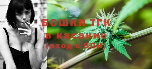 ПСИЛОЦИБИНОВЫЕ ГРИБЫ Алексин