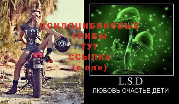 ПСИЛОЦИБИНОВЫЕ ГРИБЫ Алексин